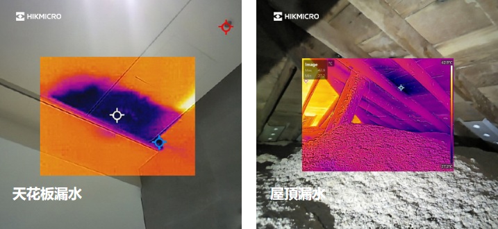 ALL_news_career_26C25_CX3MKBsi3u